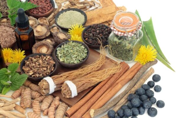 Adaptogen Herbal Medicine and Food Selection Relationships Around Botanicals Affect Us All
