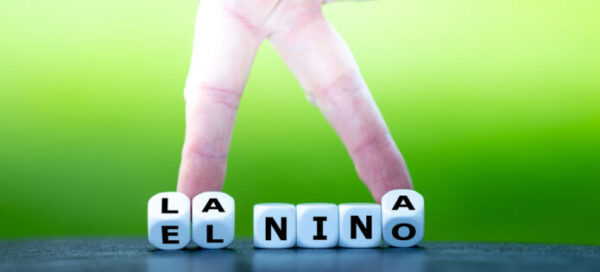 Symbol of the change between the two opposite phases of ocean temperatures in the pacific. Dice form the words El Nino (warm phase) and La Nina (cold phase). Cepham Monitors Triple-Dip La Niña to Plan for Supply Chain Disruptions
